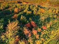 DJI 0431 2 3 Ausgewogen